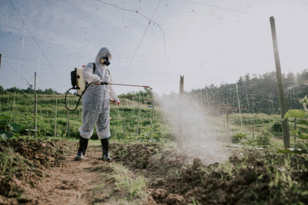 Pest Control Cost in Lambertville, NJ