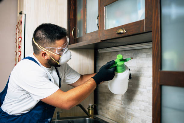 Best Termite Control Services  in Lambertville, NJ