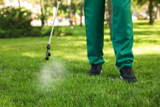 Best Ant Control Services  in Lambertville, NJ