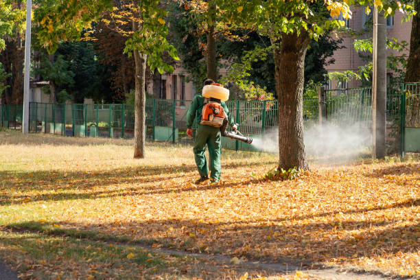 Best Spider Control Near Me  in Lambertville, NJ