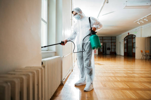Best Affordable Pest Control Services  in Lambertville, NJ