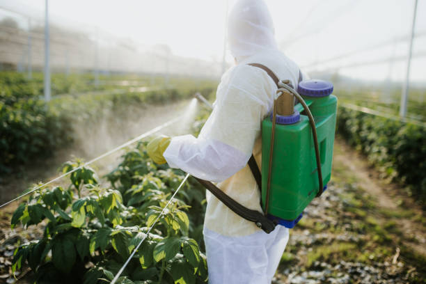 Pest Control for Restaurants in Lambertville, NJ